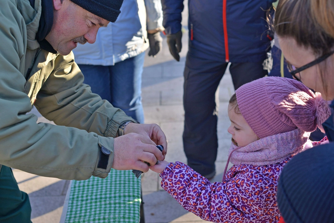 Ünnepi madárgyűrűzés
