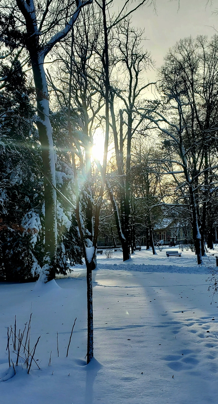 Matolcsi Erika - A Népkert télen