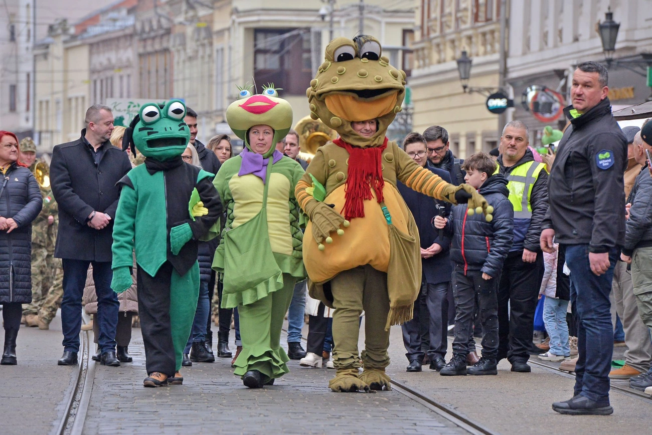 Kocsonyafesztivál megnyitó