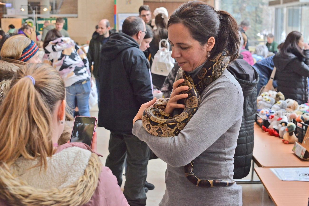 Fotók: Osztie Tibor