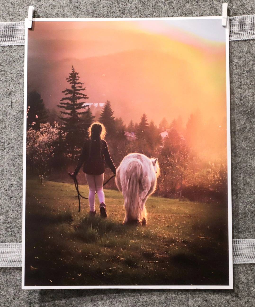 Terjék Fanni fotókiállítása az Ifjúsági Házban