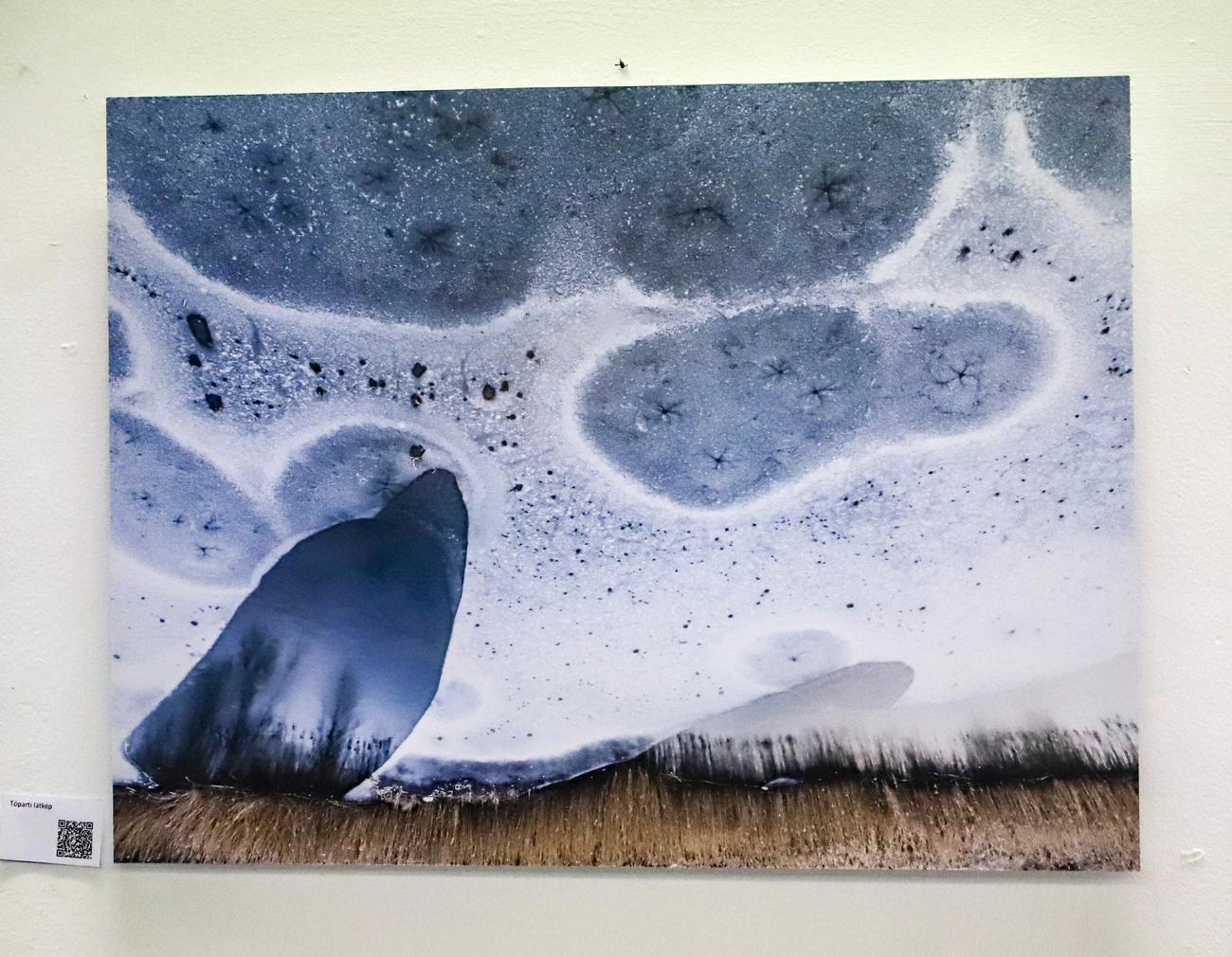 fotó: Mocsári László