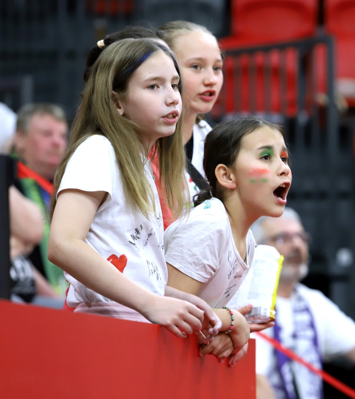 DVTK HUNTHERM - Sopron Basket 78-68