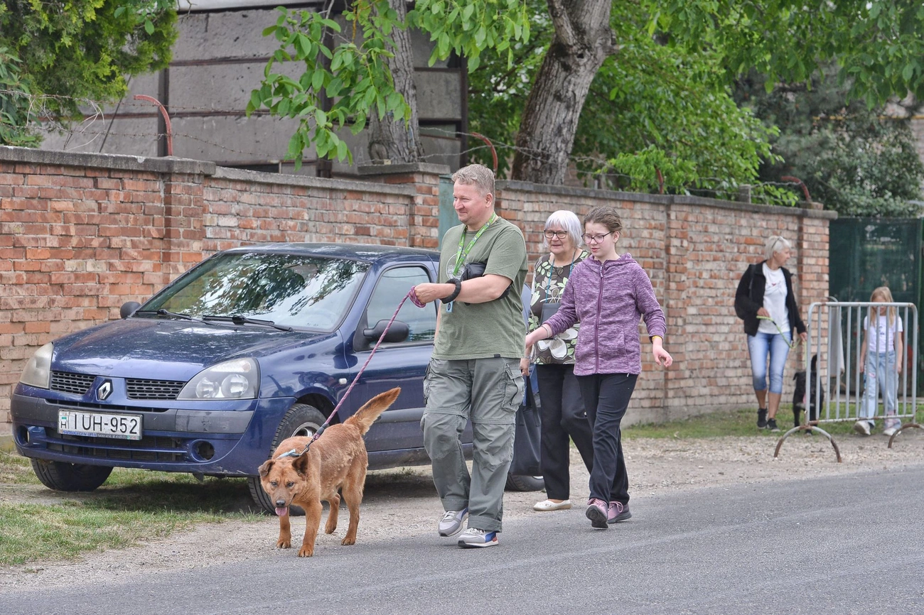 Fotók: Osztie Tibor