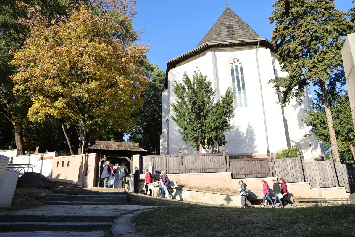 TeSzedd! akcióban a Városfejlesztési Főosztály