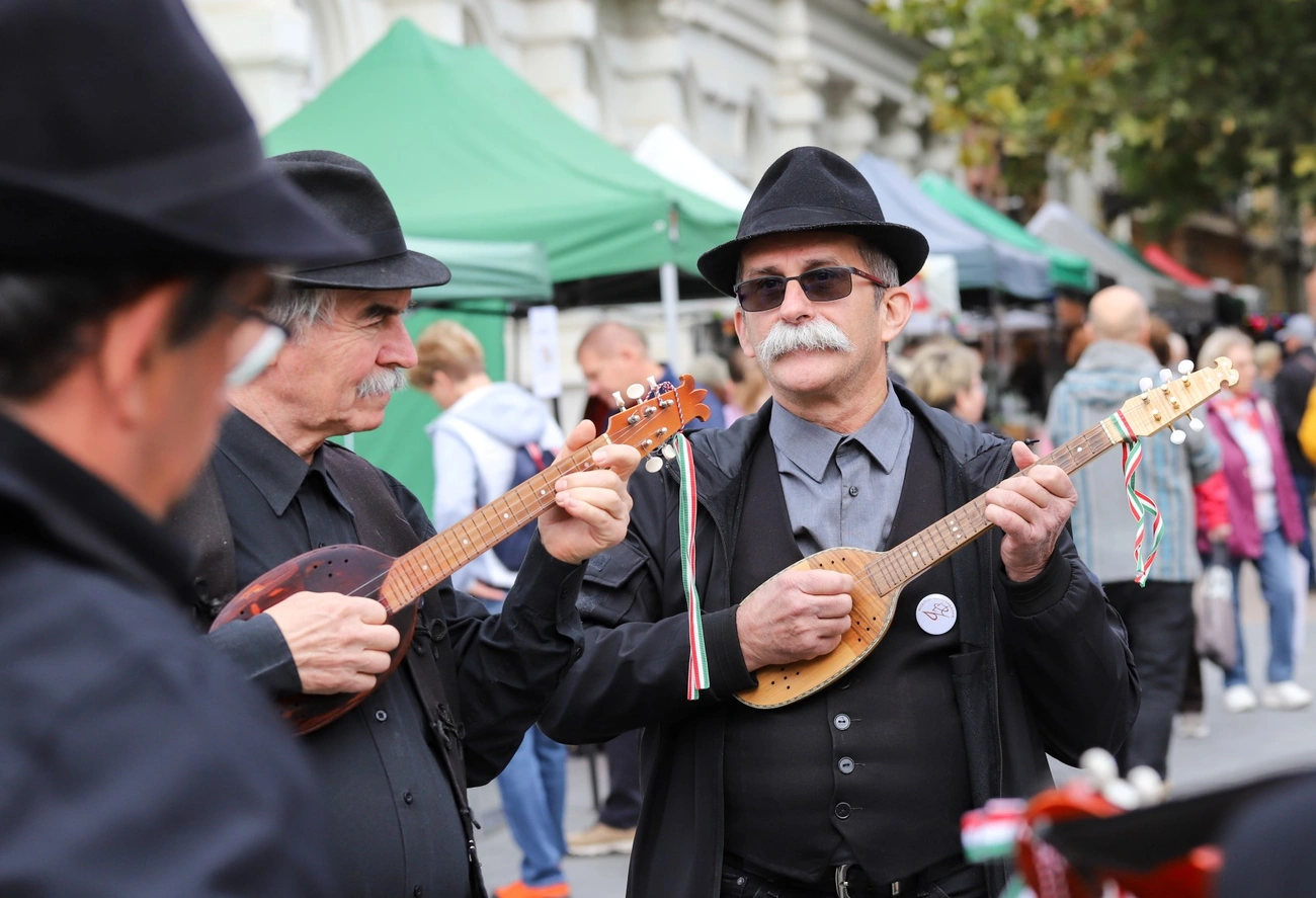 Miskolci Termelői Nap