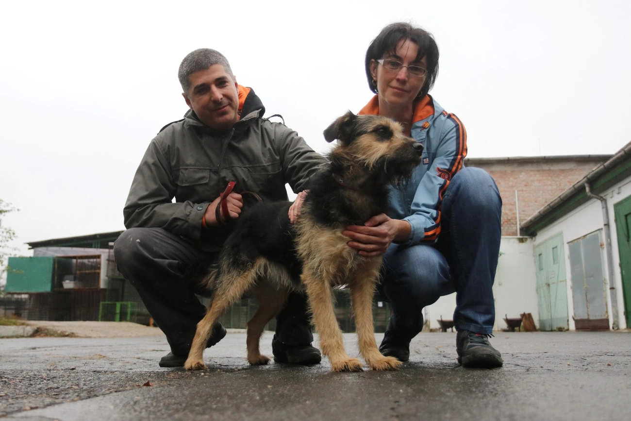 Nyílt nap az Állategészségügyi telepen