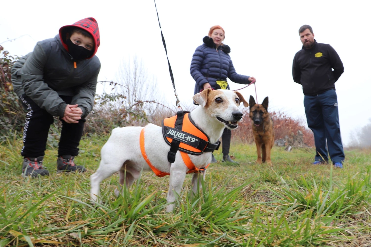 Nyílt nap az Állategészségügyi telepen 