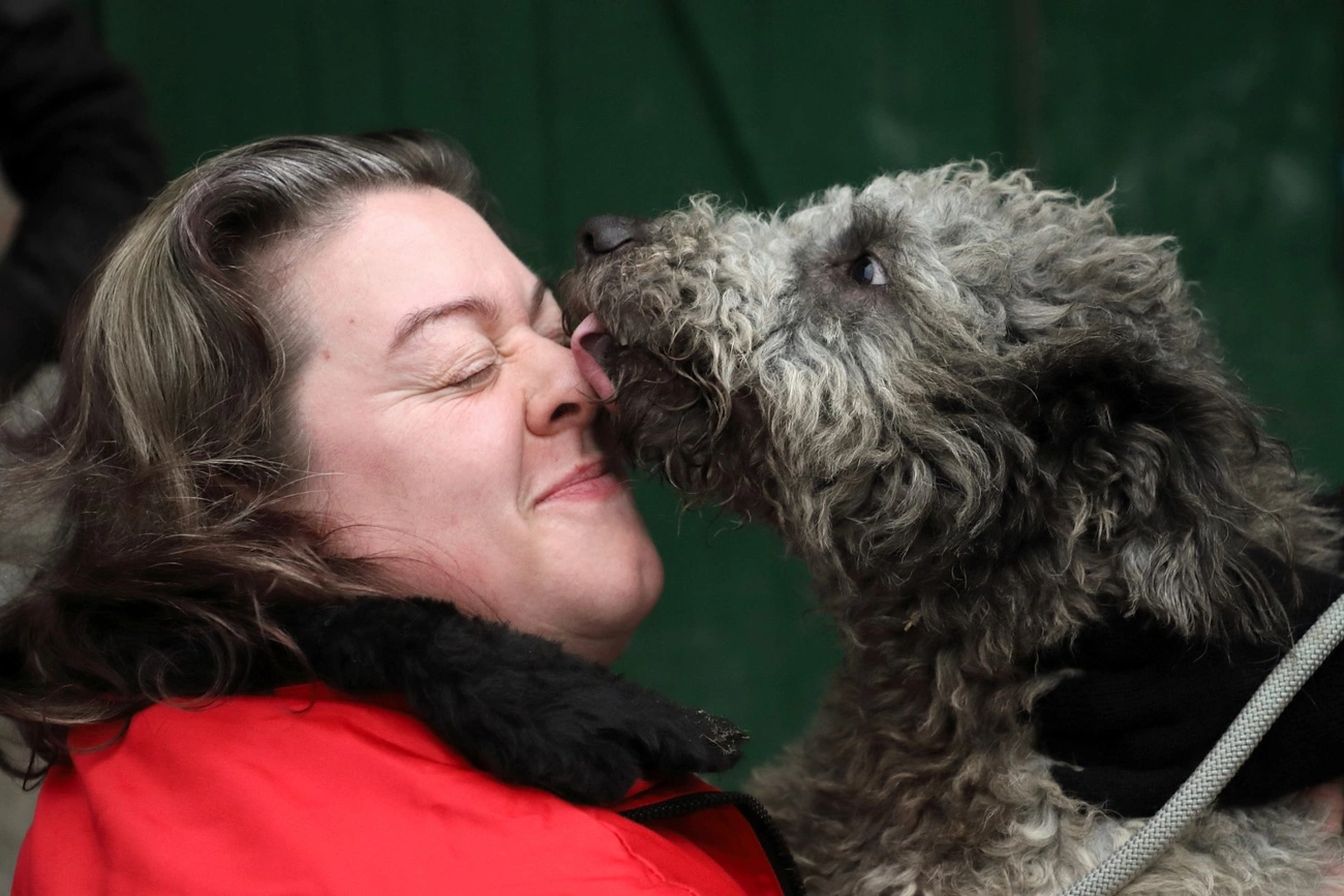 Nyílt nap és adománygyűjtés az Állategészségügyi Telepen 