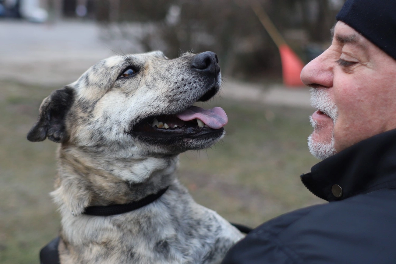 Nyílt nap az Állategészségügyi telepen 