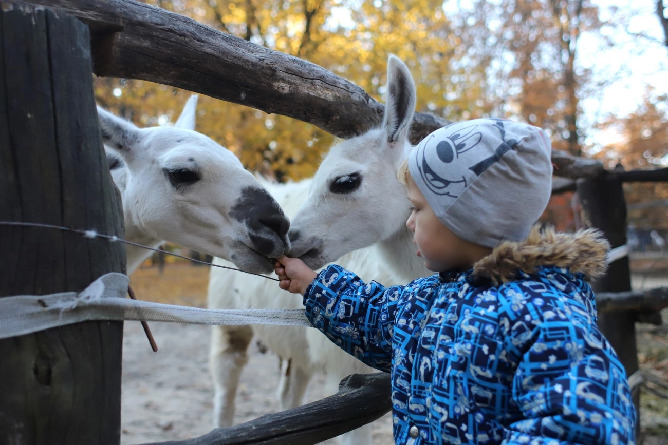 Halloween a Miskolci Állatkertben