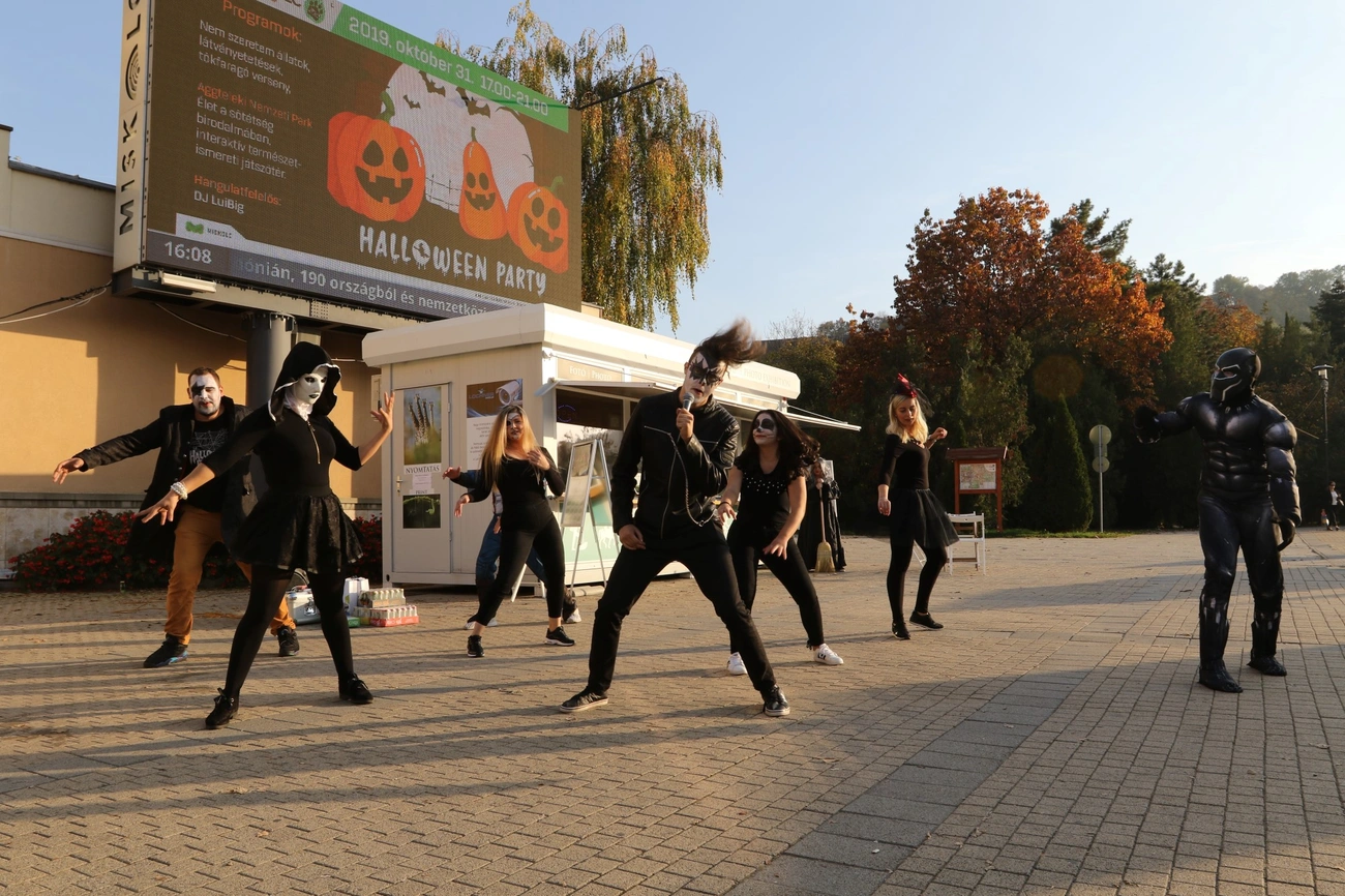 Halloween flashmob 