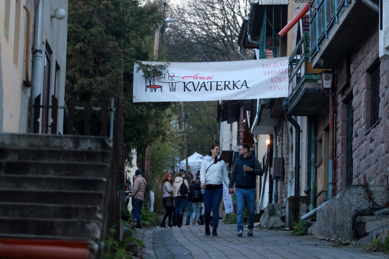 Avasi Kvaterka 