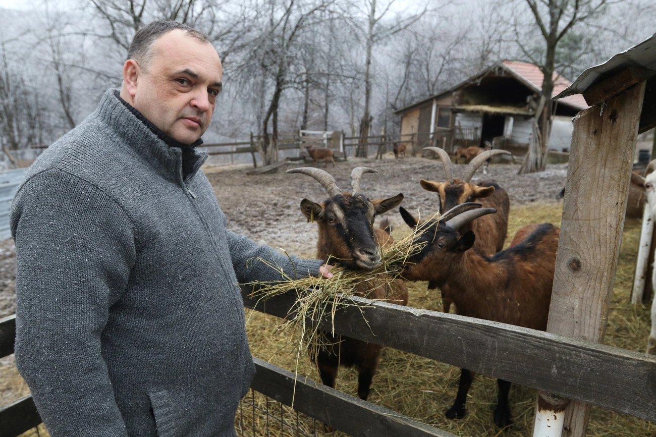 Segítséget kér a Baráthegyi Majorság 