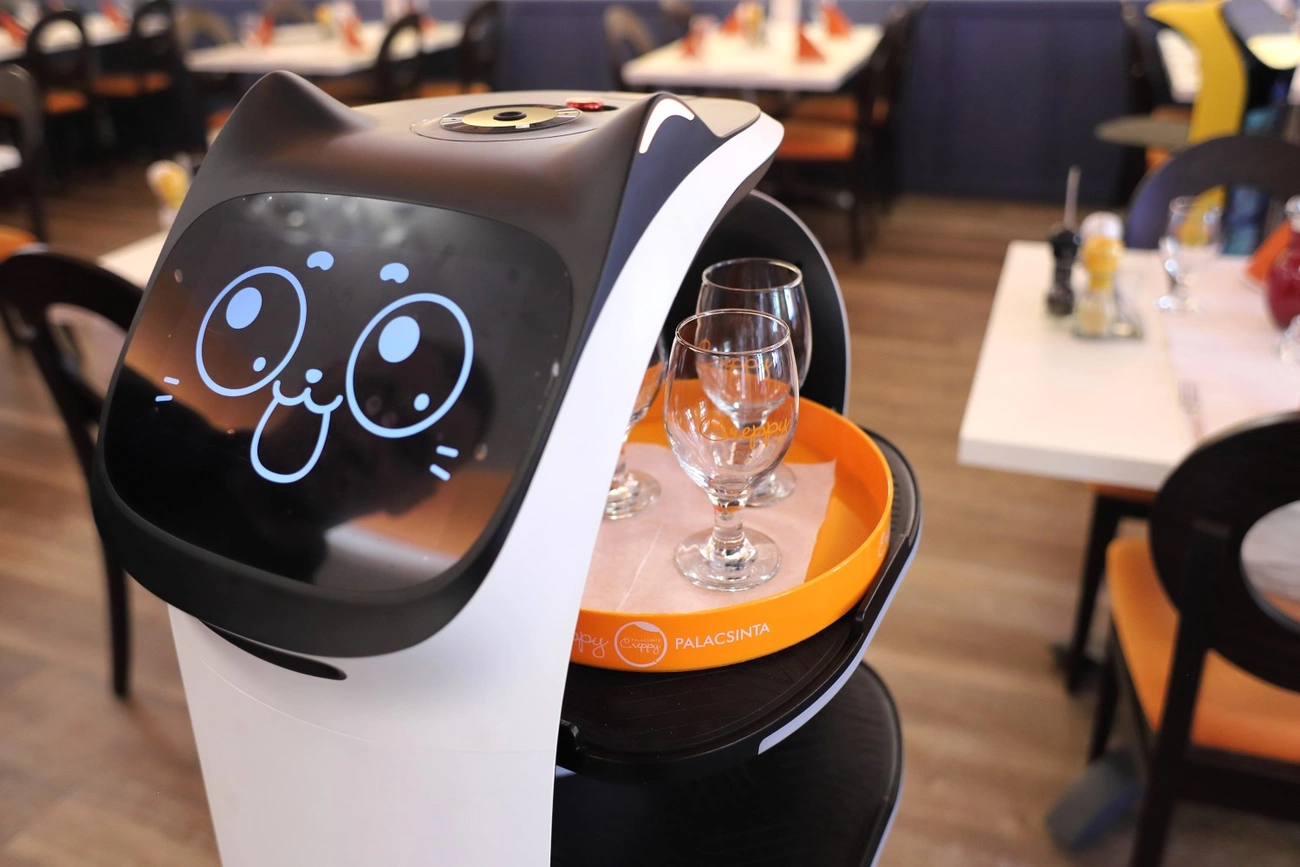 Éttermi robotok bemutatója 
