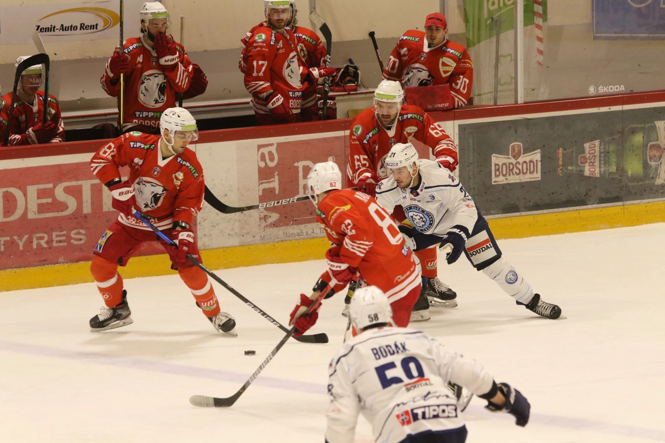 DVTK Jegesmedvék - HK Nitra 