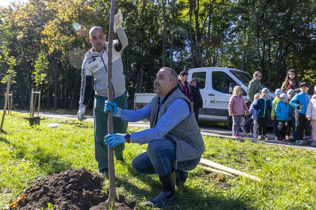 Faültetés a Szentpéteri kapuban 