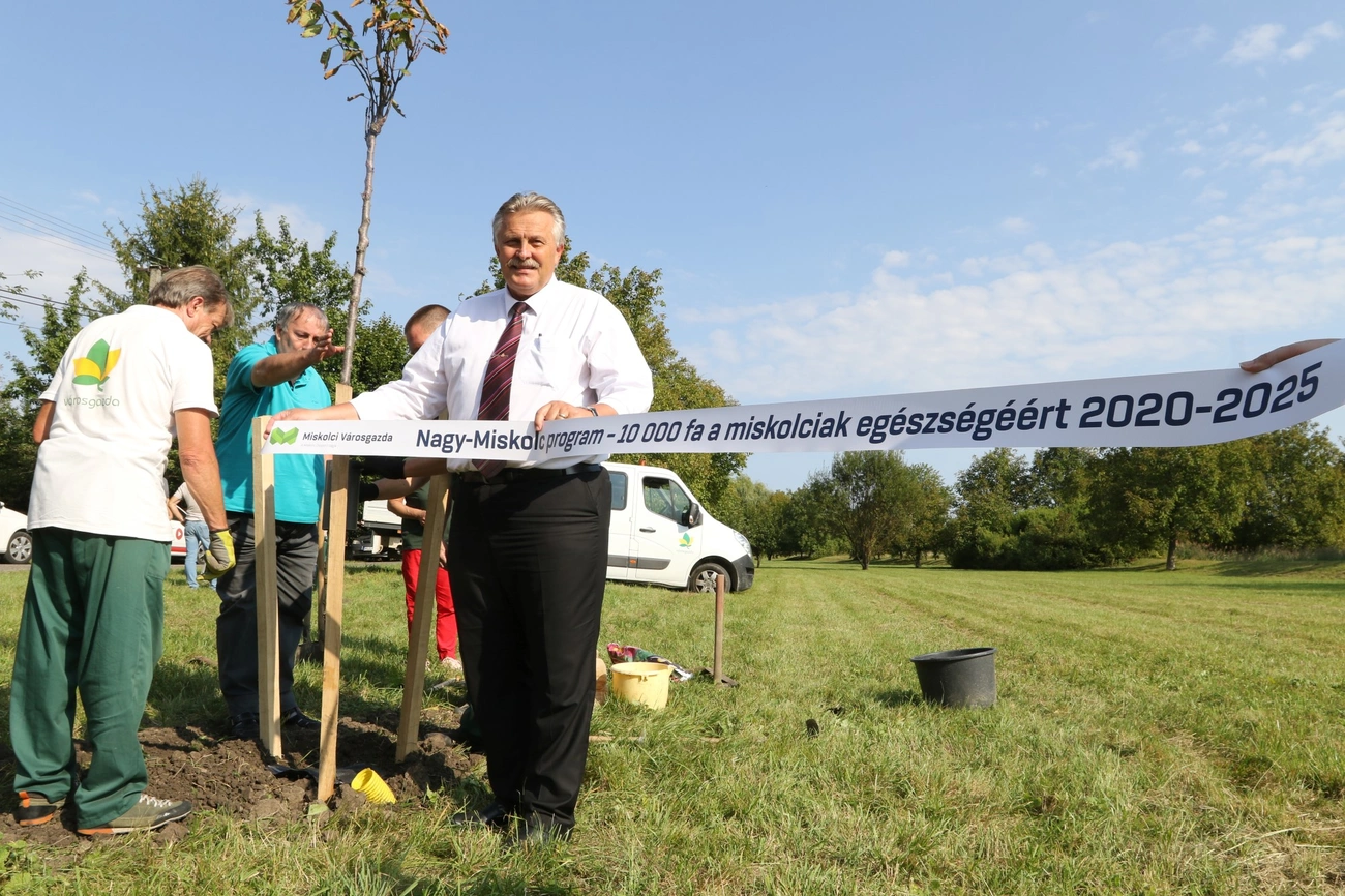 Öt év alatt tízezer fát ültetnek Miskolcon 