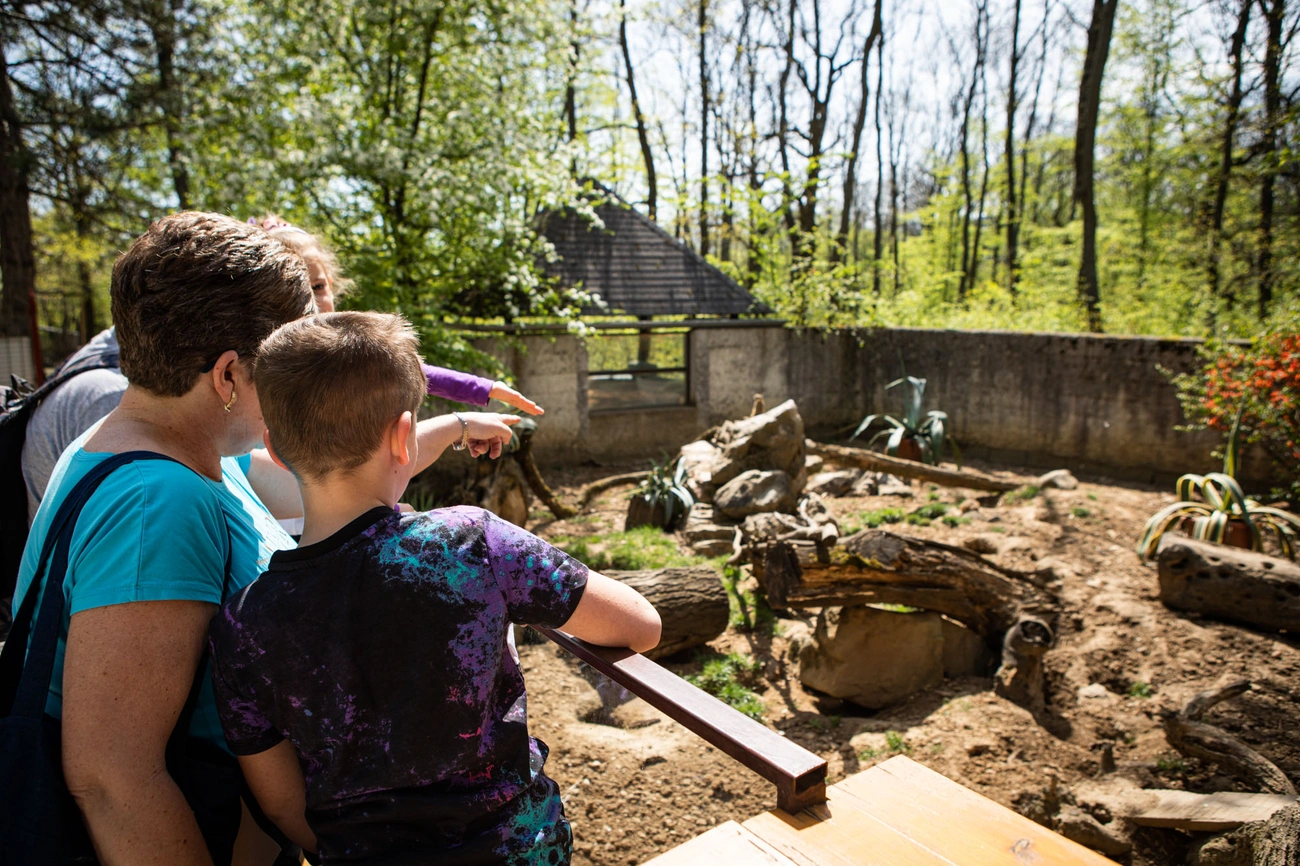 Föld napja a Miskolci Állatkertben 