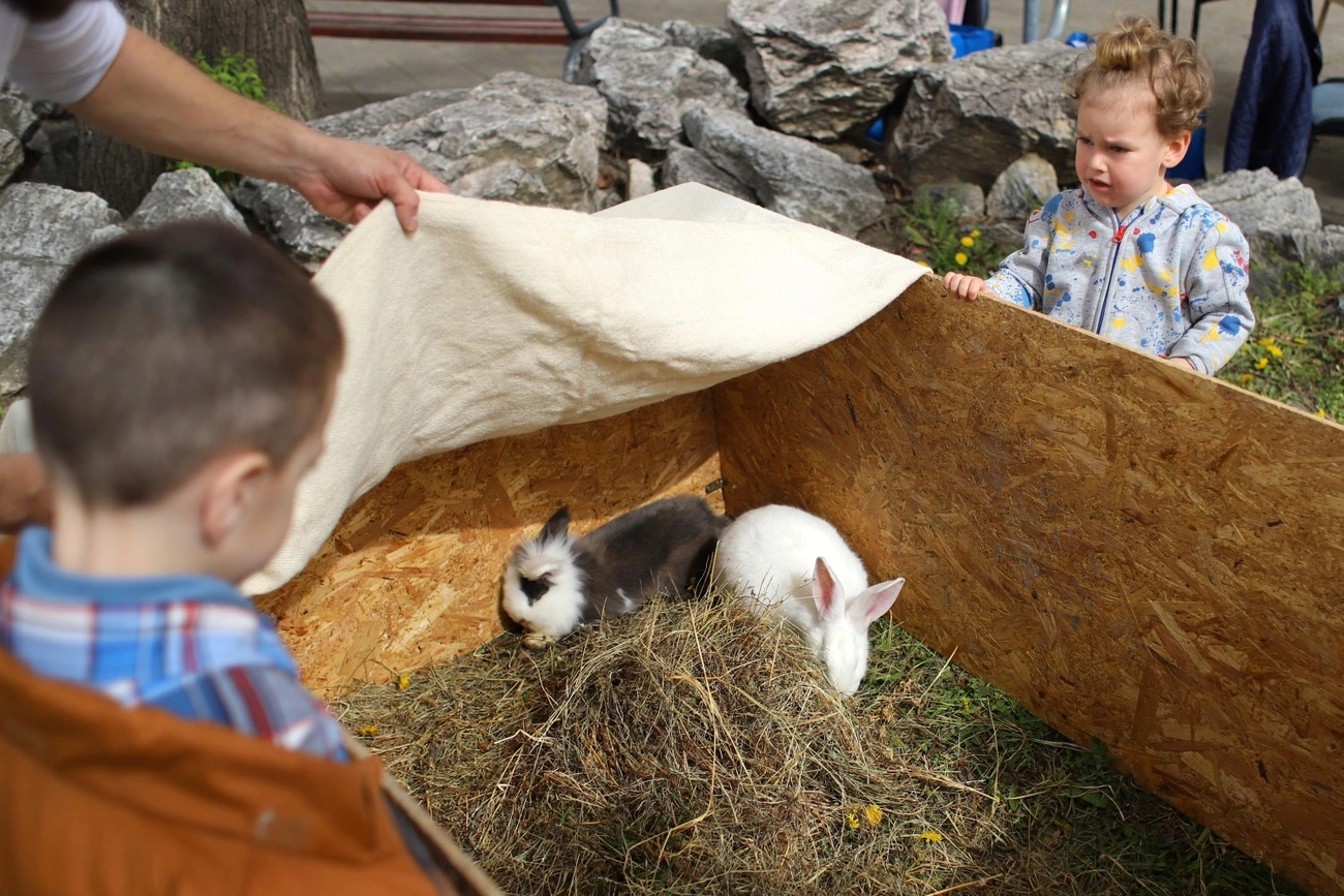 Húsvéti forgatag Diósgyőrben 