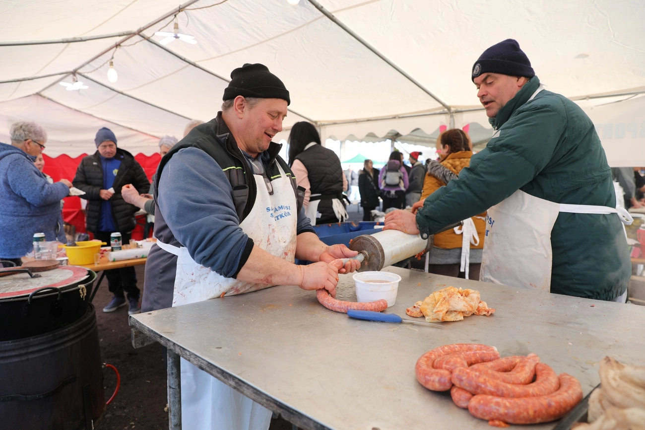X. Vámos - Toros Nap 