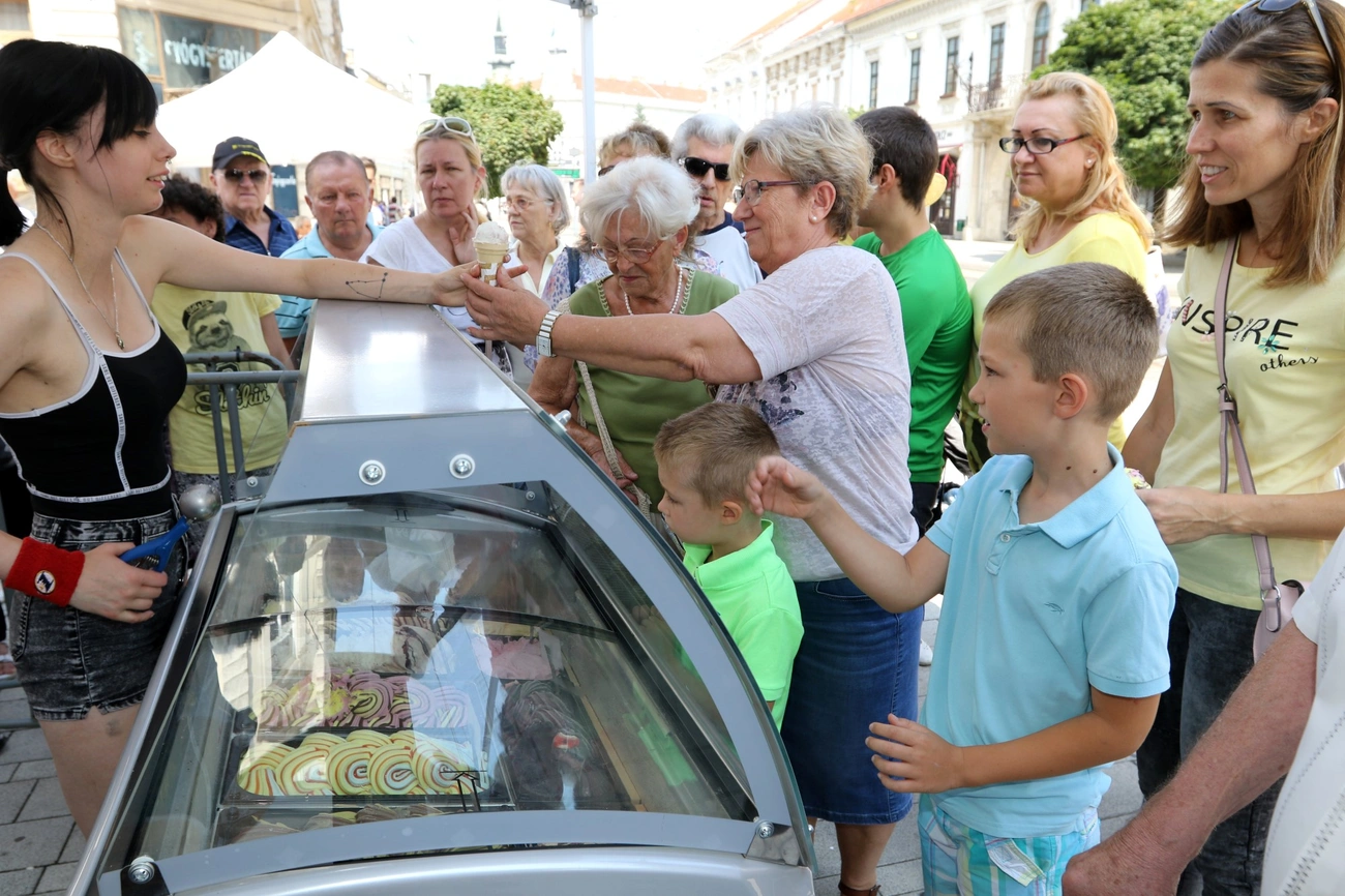Termelői nap az Erzsébet téren