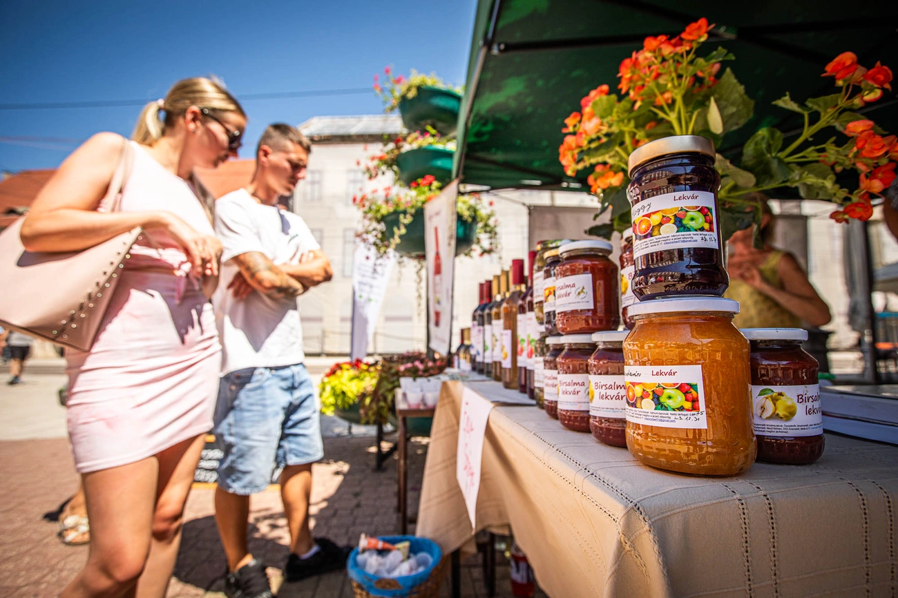 Miskolci Termelői nap az Erzsébet téren