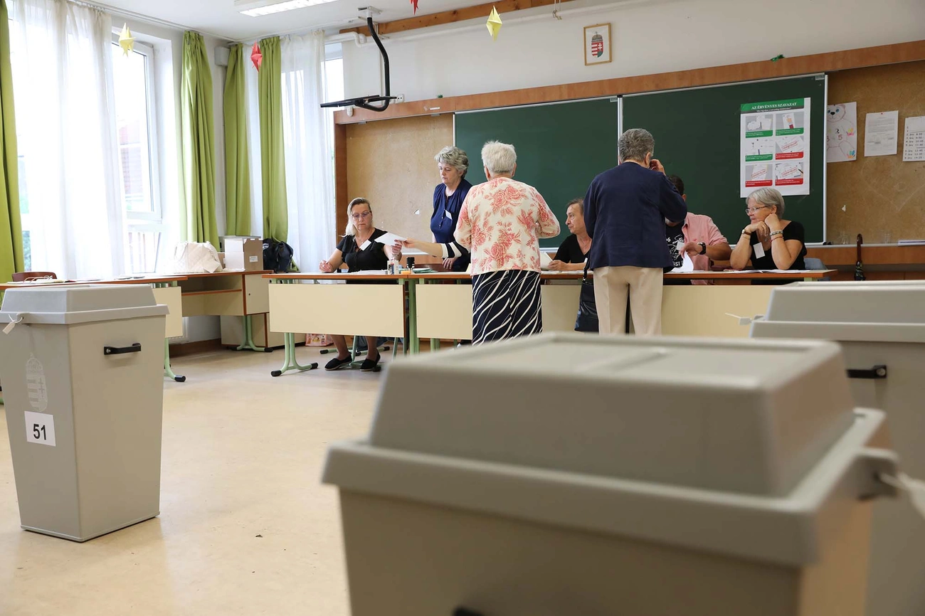 Választás 2024 