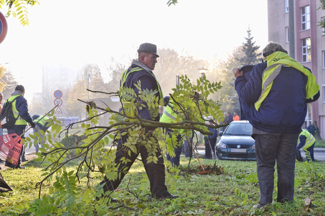 Városgazda őszi nagytakarítás a Vologdán 