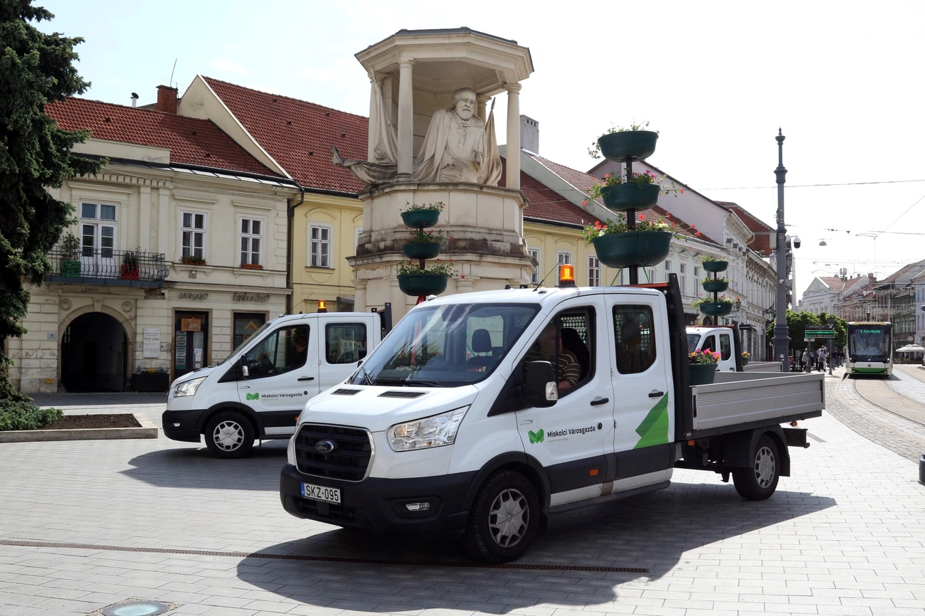 Visszatértek a virágfák a főutcára  