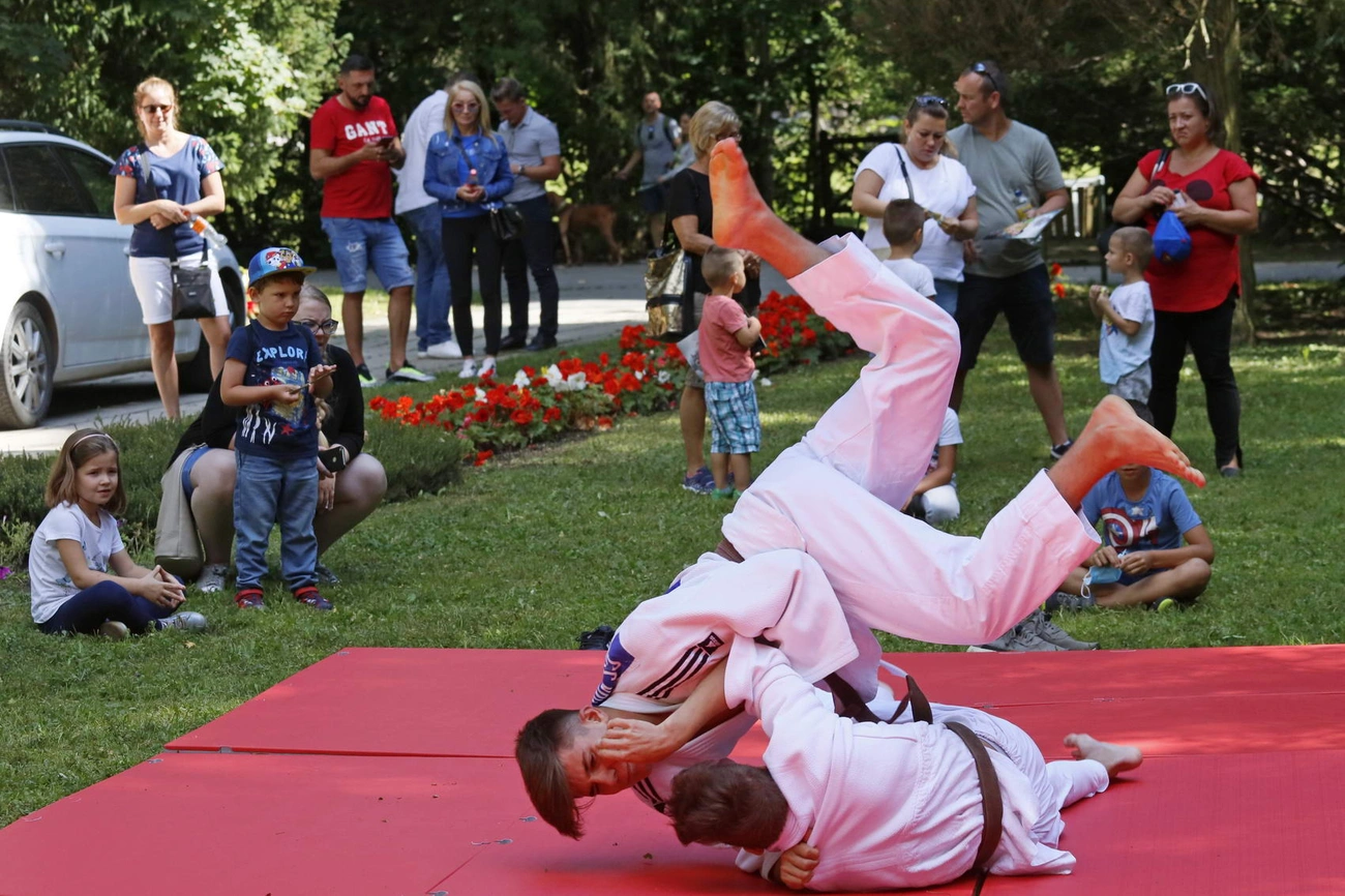 judo 