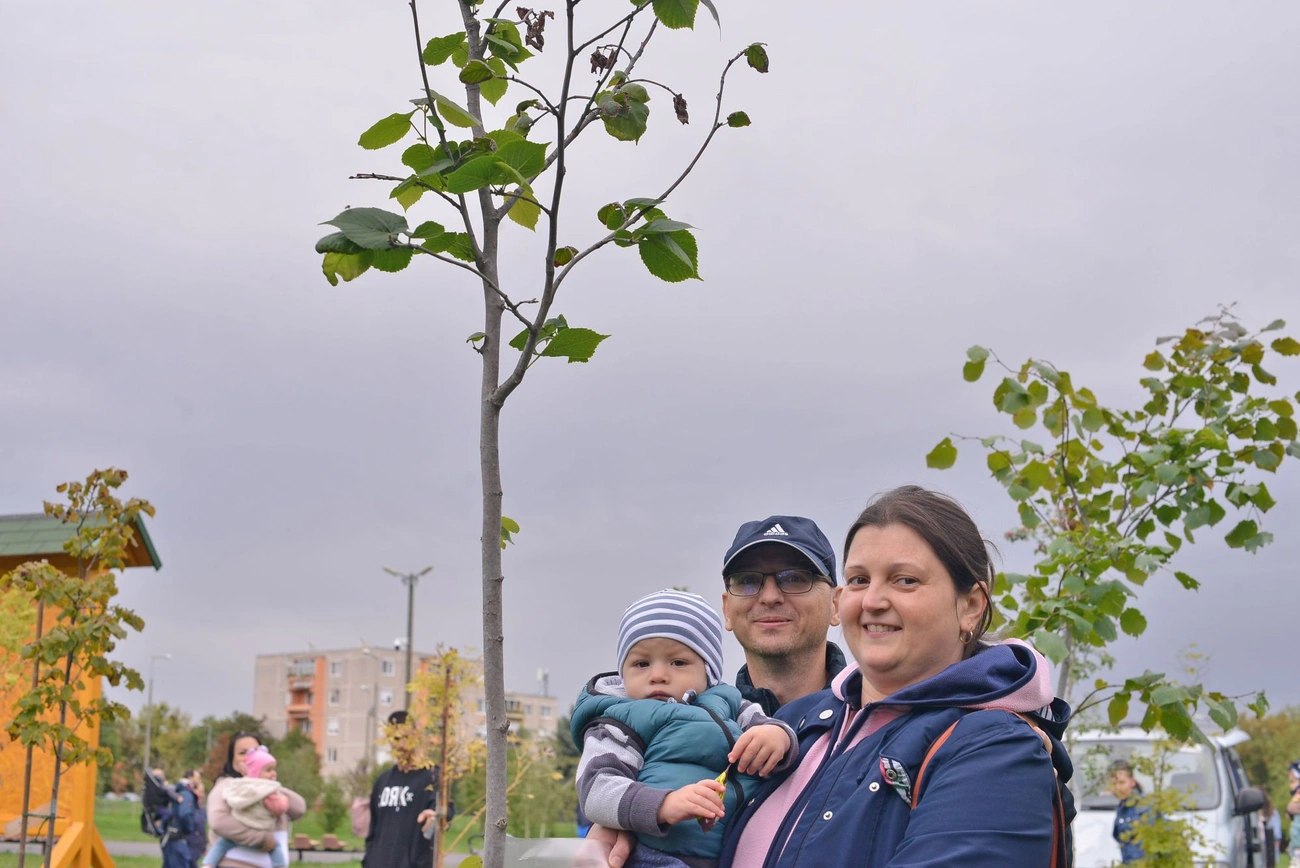 Újszülöttek 13. parkja