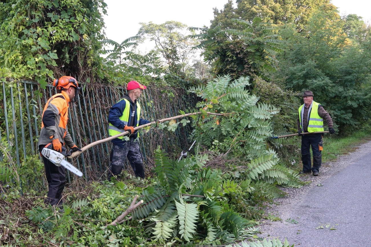 Takarítás a Vasgyári temető mellett