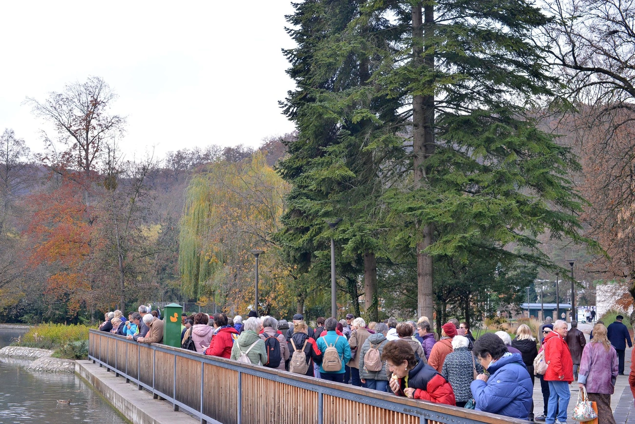 Séta az egészséges tüdőért. Fotó: Osztie Tibor