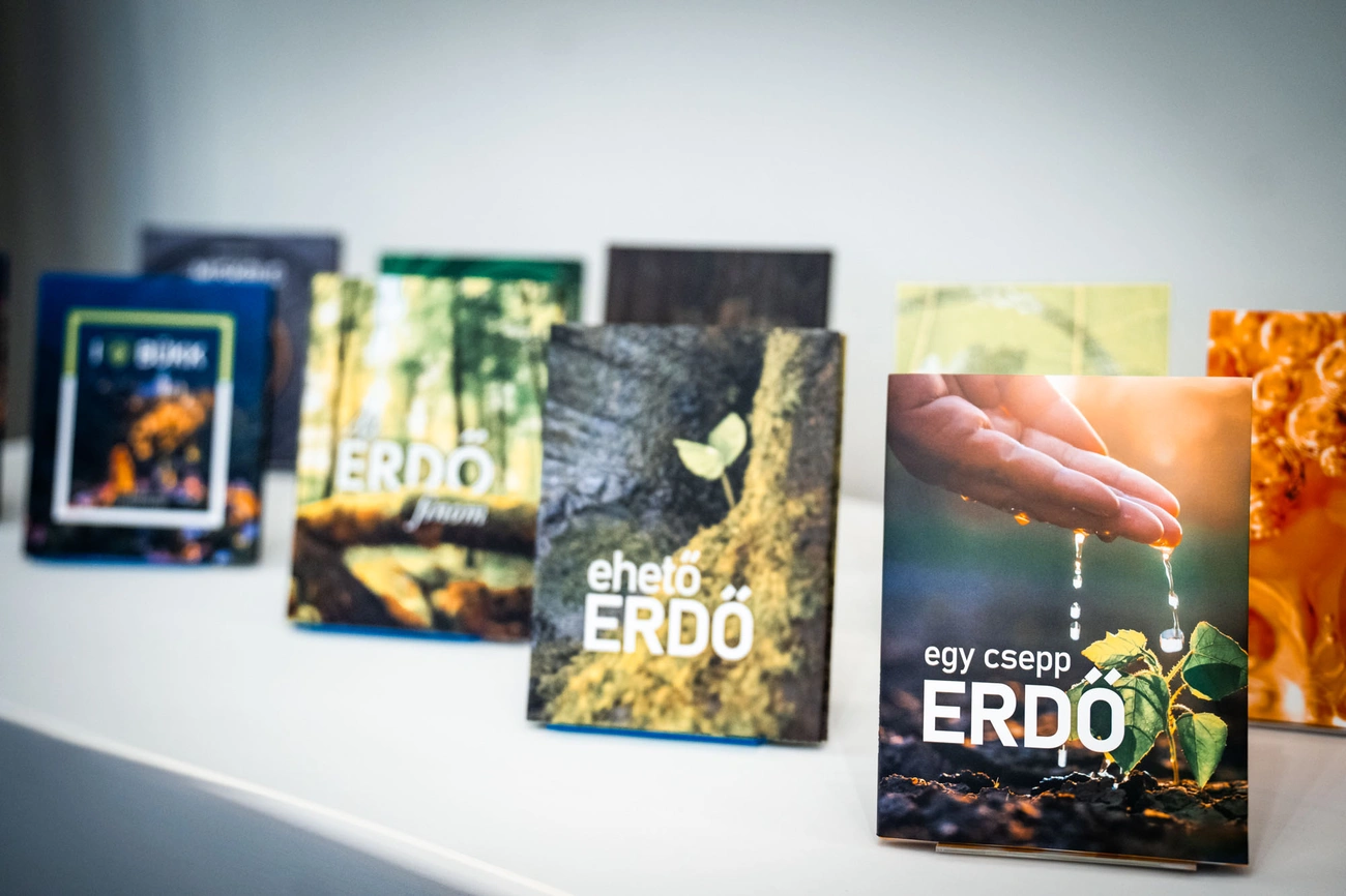 Egy csepp erdő könyvbemutató 