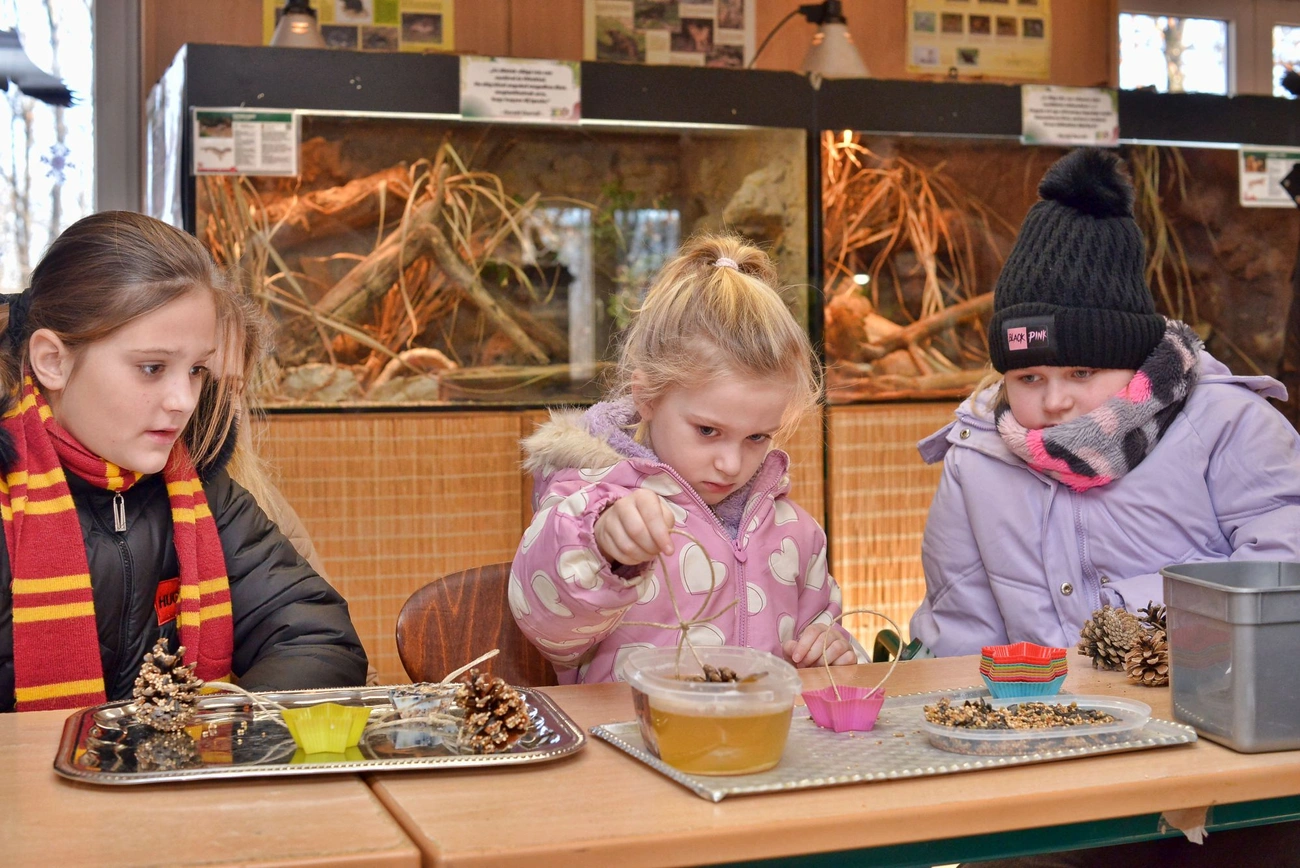 Állatok karácsonya