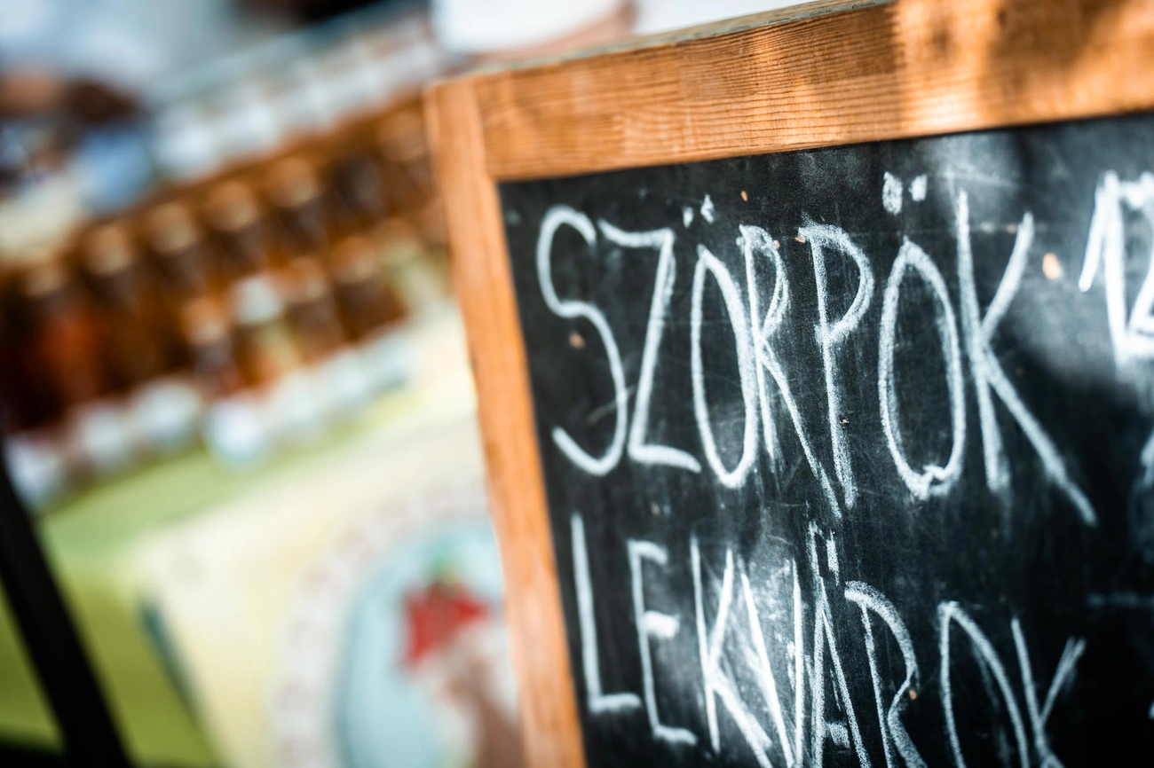 Termelői nap 