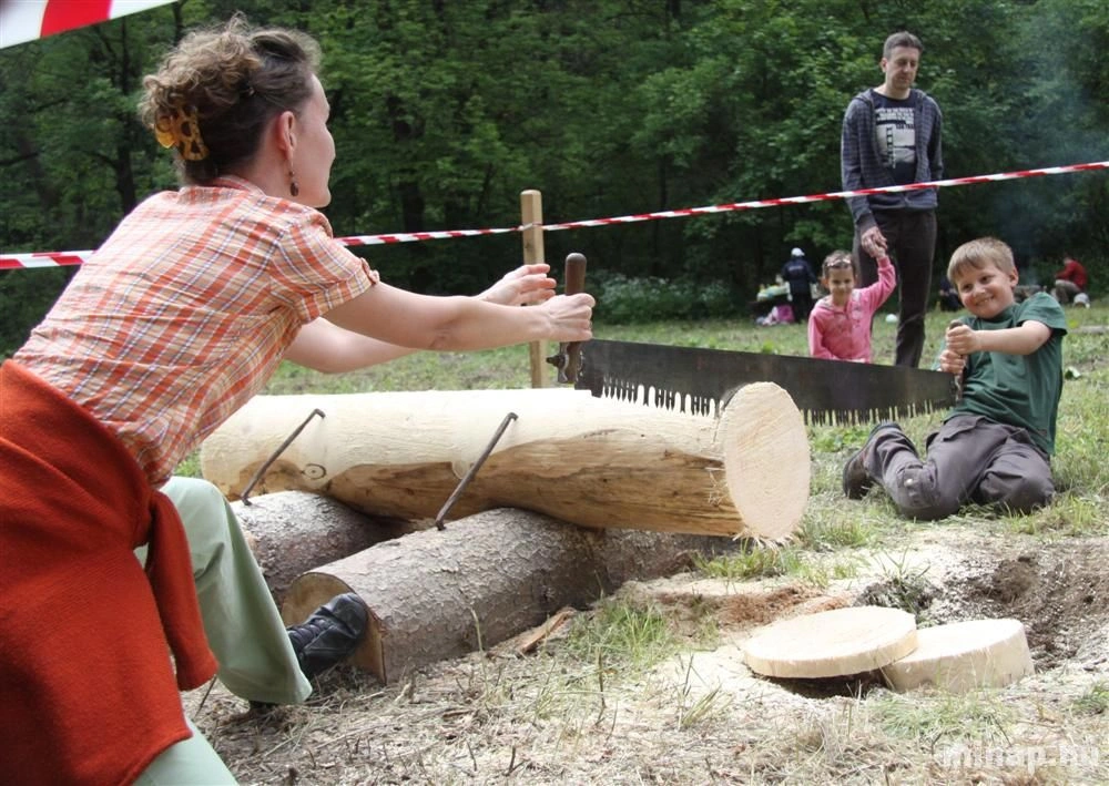 Fakitermelő verseny Garadnán