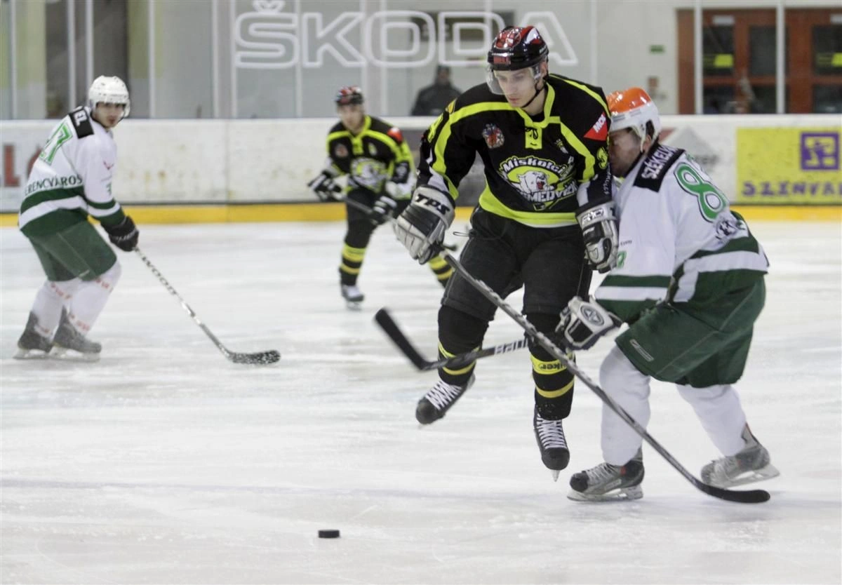 Miskolci Jegesmedvék - FTC