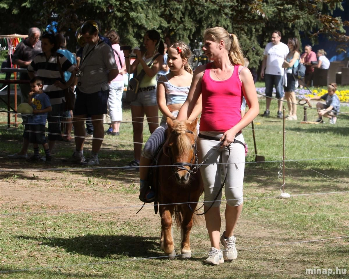 Majális a Népkertben délután