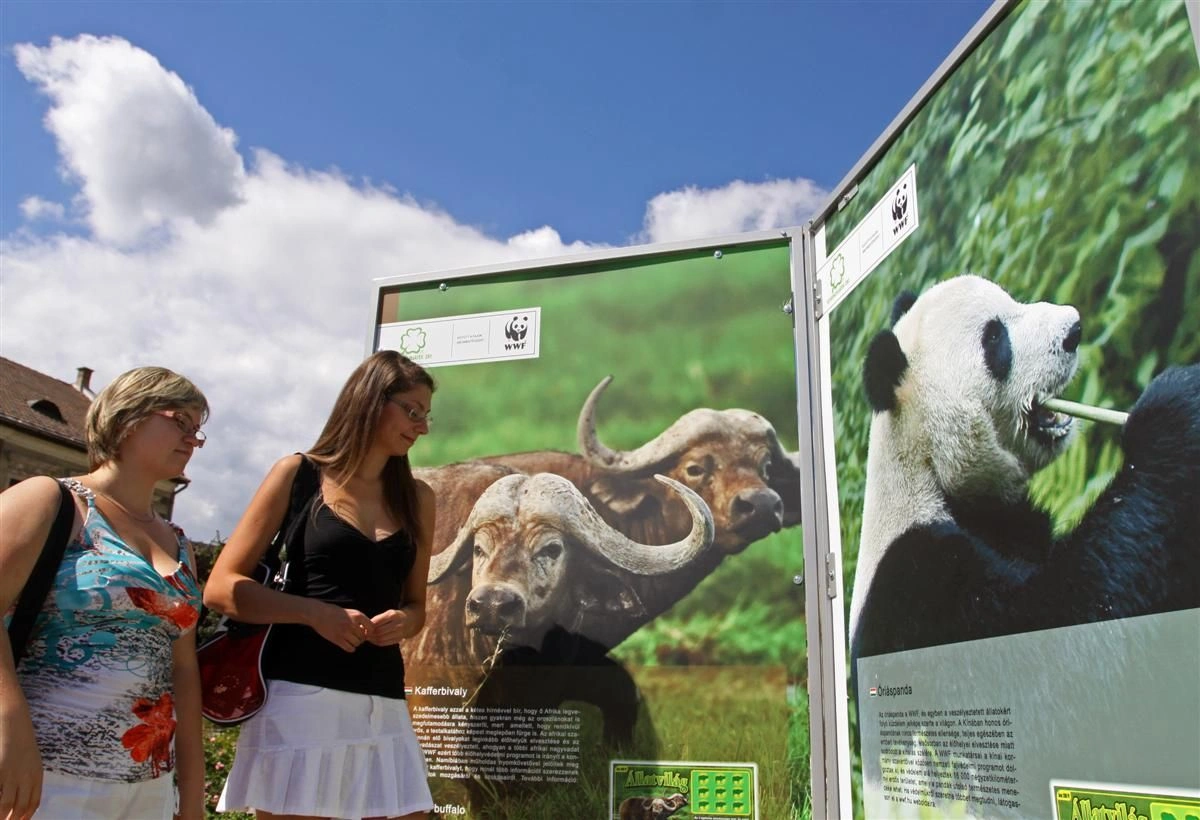 Úton az állatok - a WWF kiállítása