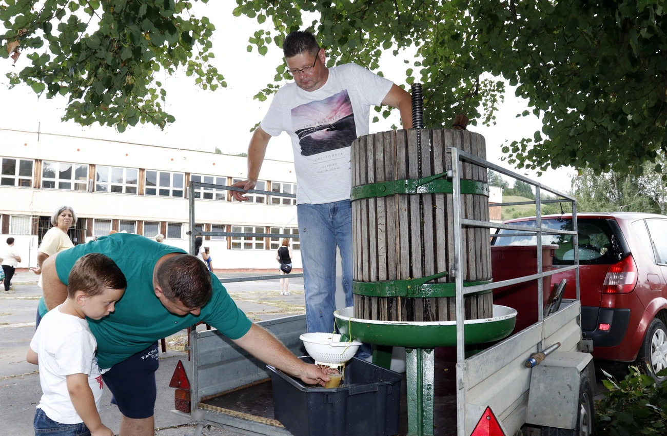 II. Szüreti nap Diósgyőrben