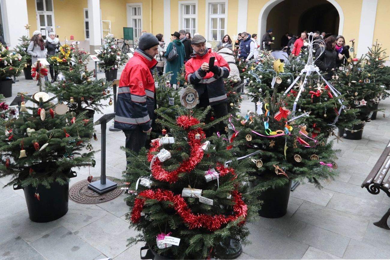 Angyalkert a városházán