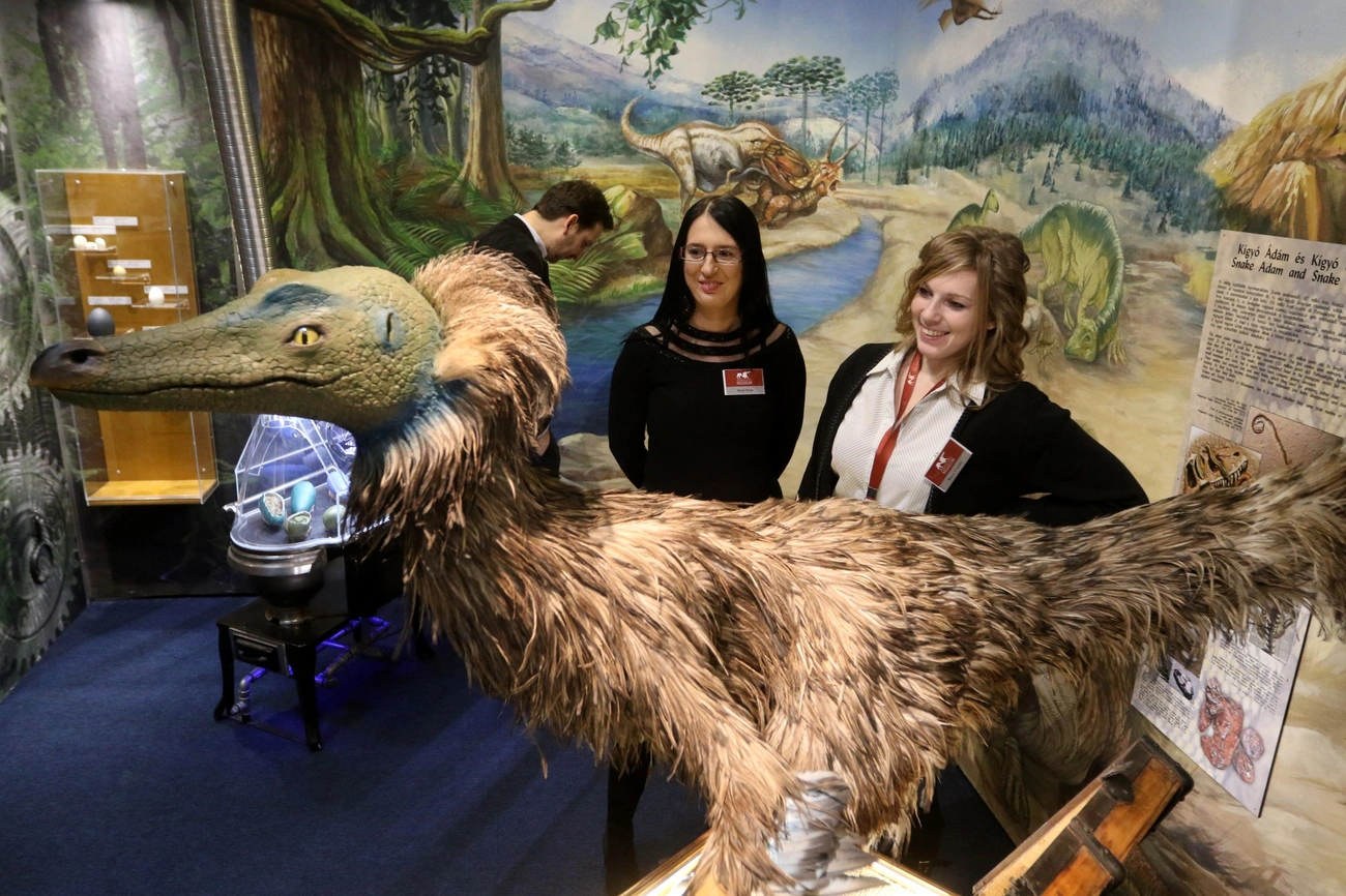 Dínók földjén - kiállítás a Herman Ottó Múzeumban II.