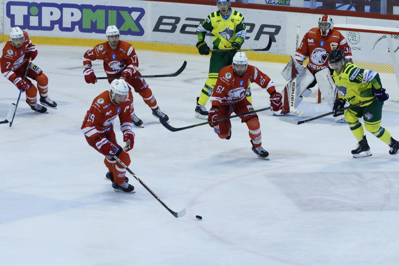 DVTK Jegesmedvék - Zsolna