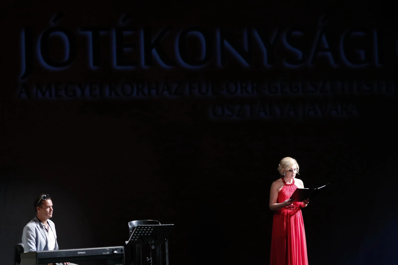 Jótékonysági est a színházban