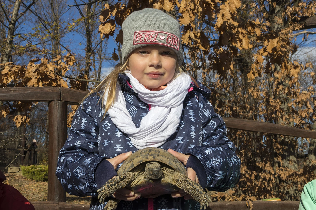 Készülődés a télre – családi nap a Miskolci Állatkertben