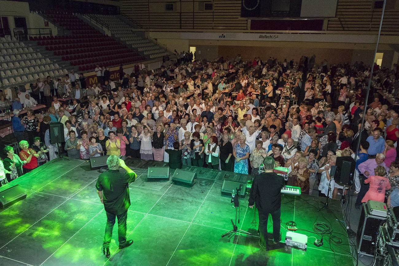 Salkaházi szüreti mulatság a sportcsarnokban – II.