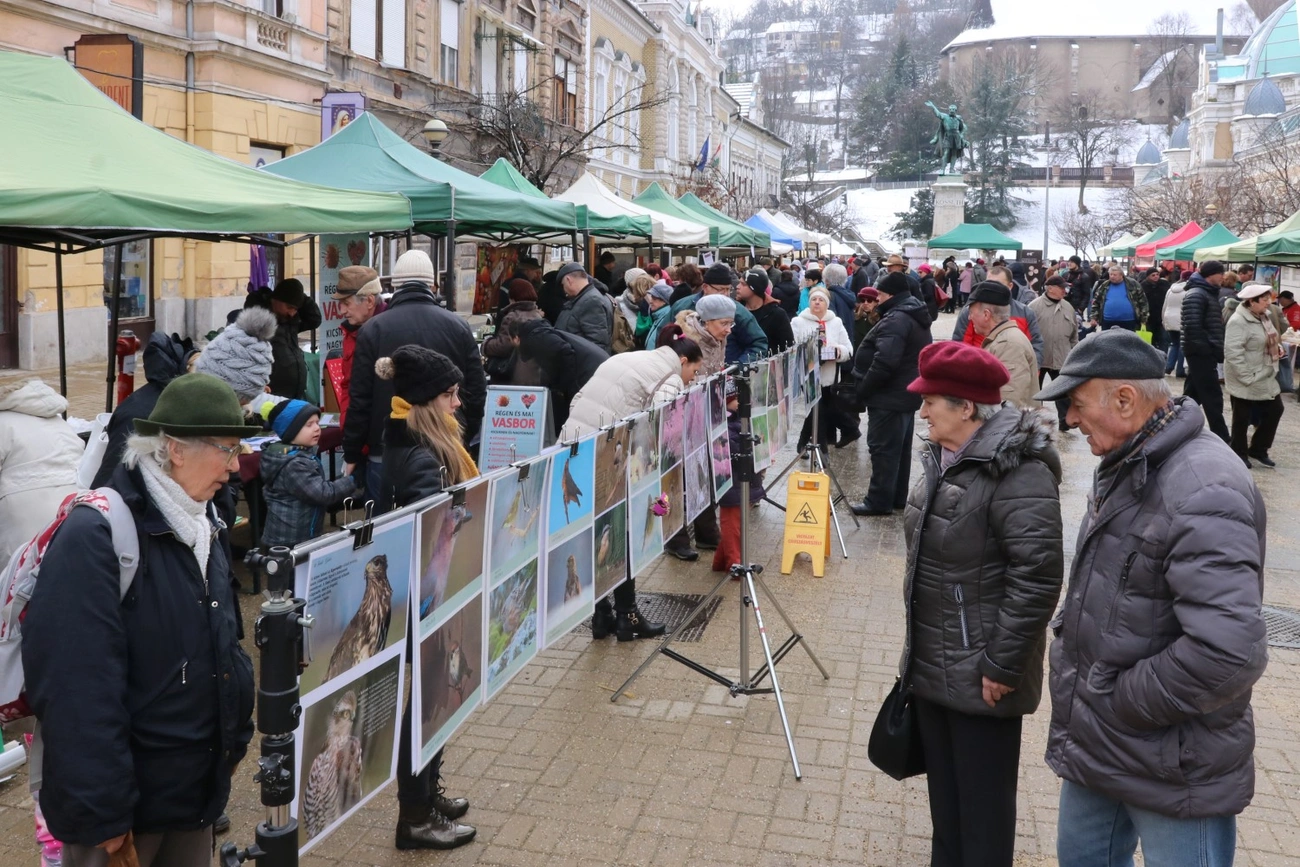 Miskolci Termelői Nap