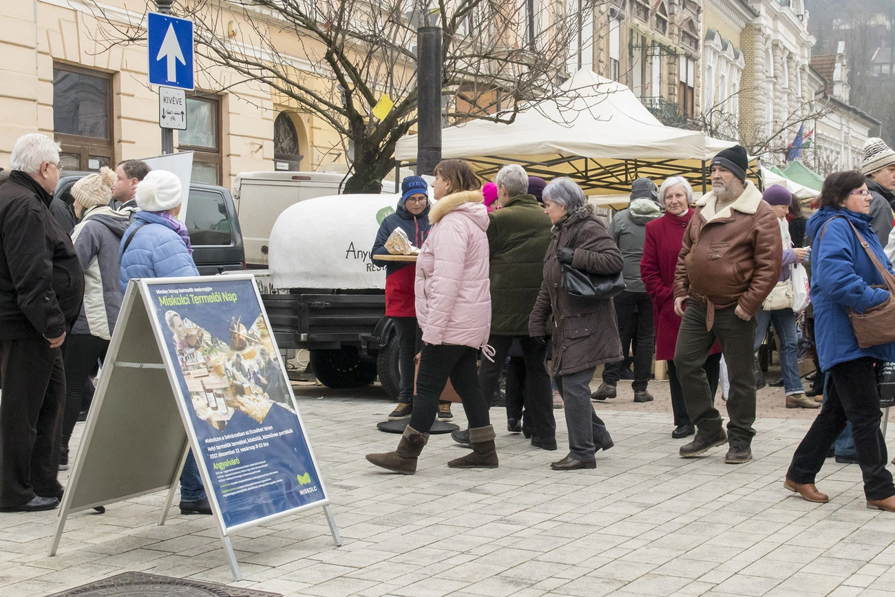 Termelői nap - idén az utolsó